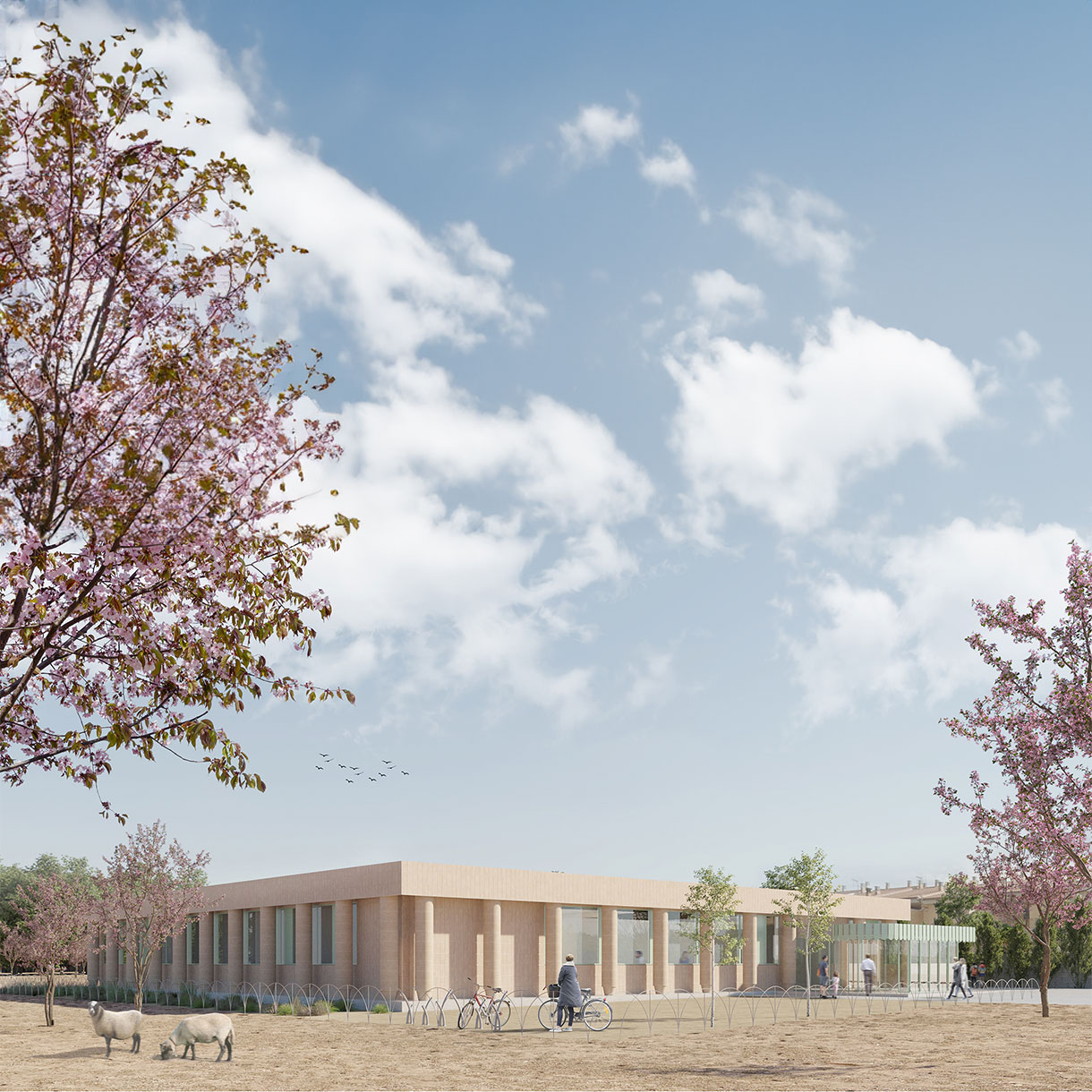 Consell, Menorca 2019 Health Center in Llucmajor | 2019 Competition